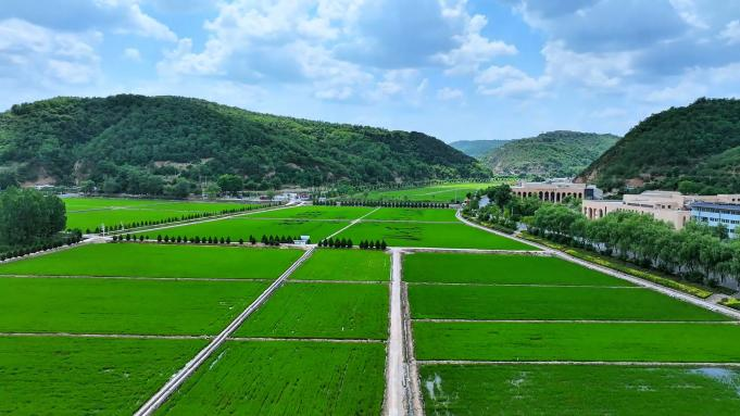 1767880233321203.png 1767880233321203.png