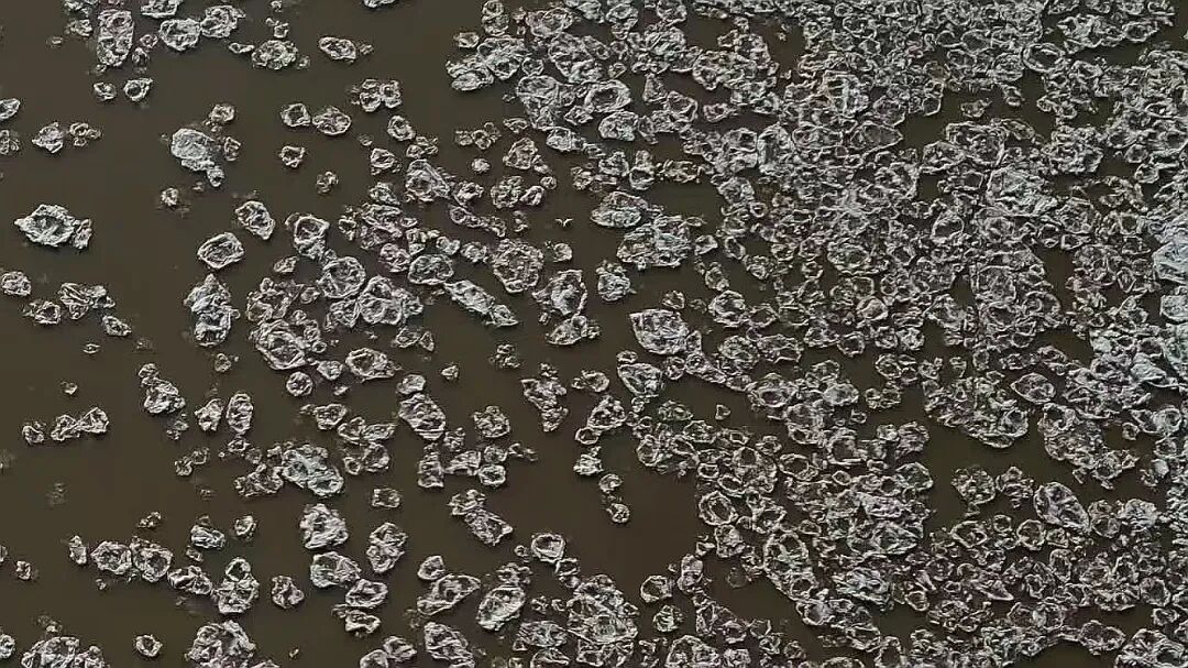 1768566189634527.jpg 1768566189634527.jpg