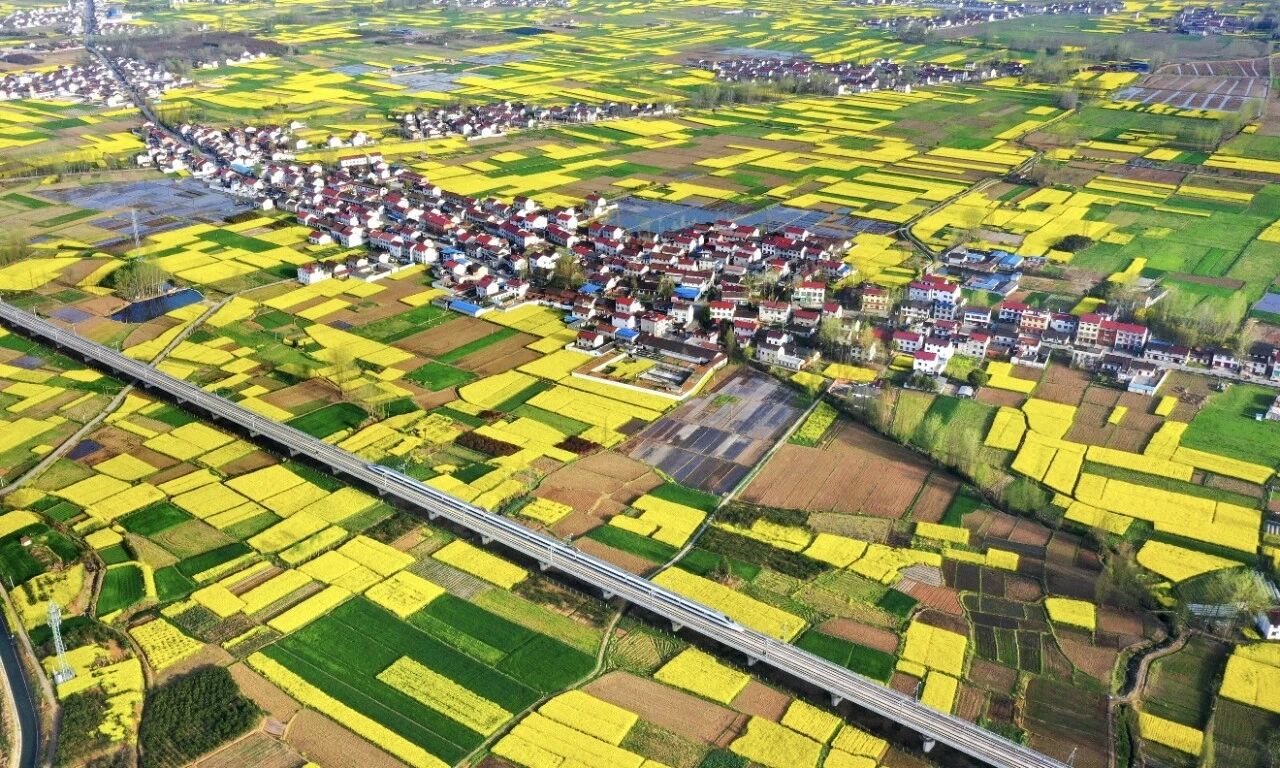 集团公司召开党委书记抓基层党建工作述职评议会