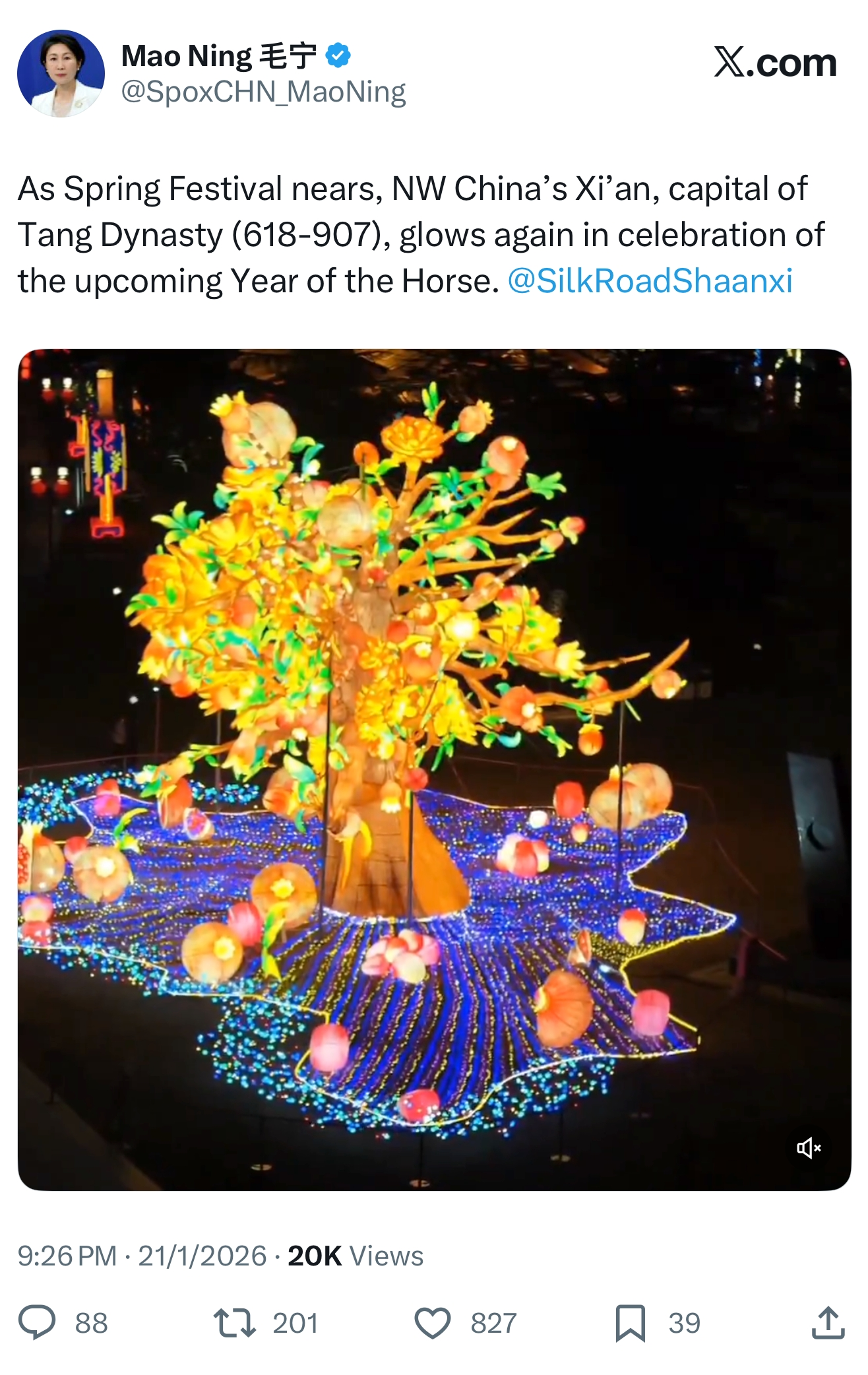 1769343076682001.png 1769343076682001.png