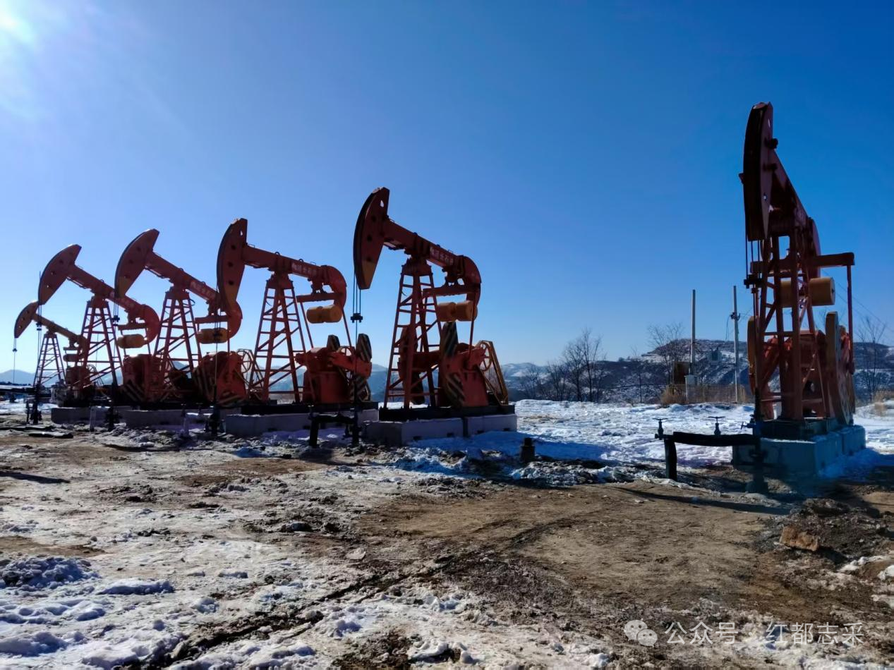 1769504925162234.png 1769504925162234.png