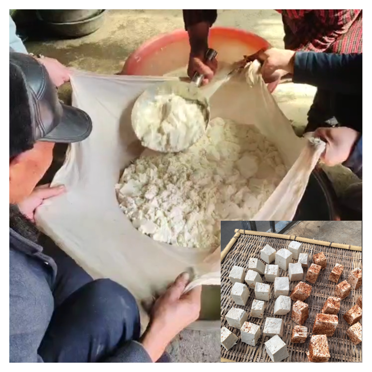 一颗豆子的年味