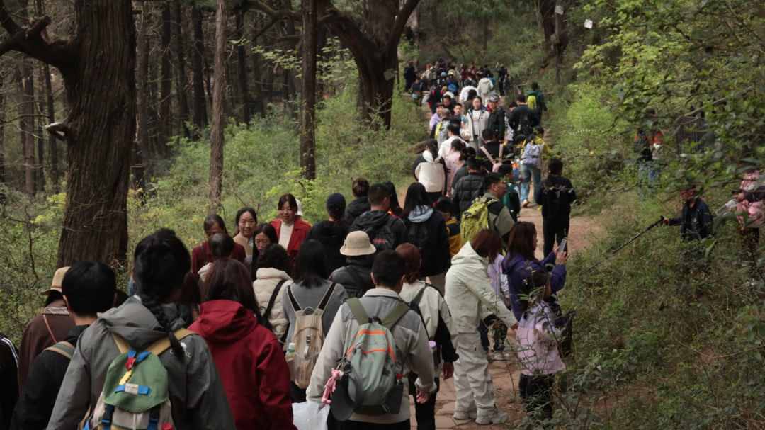 1775525631612383.png 1775525631612383.png