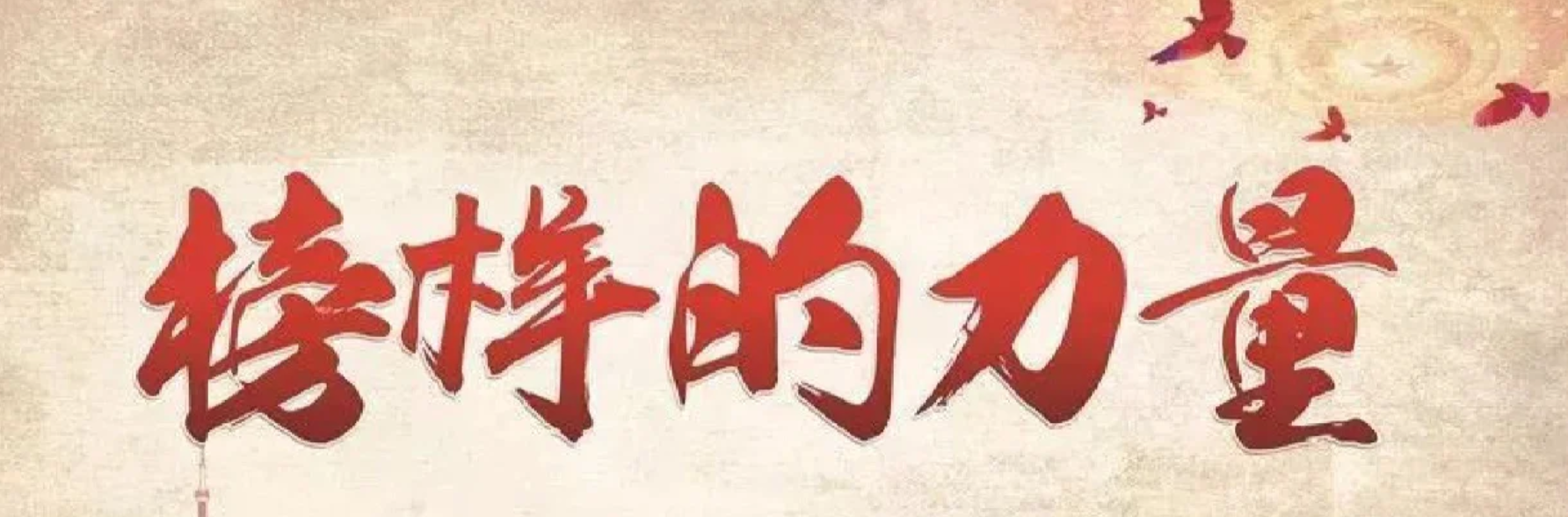 负伤坚守护平安 初心如磐暖民心——记文水交警石佩的履职担当故事
