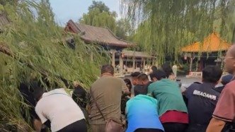 济南趵突泉公园一棵老柳树树枝折断刮倒16名游客：8人轻伤，景区致歉